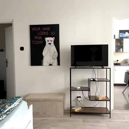 Sabo Komenskeho Apartman Kassa